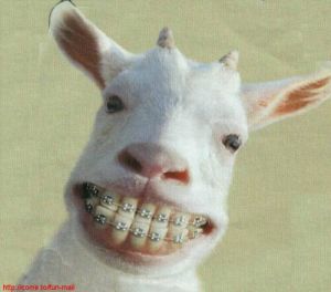 GoatSmiley