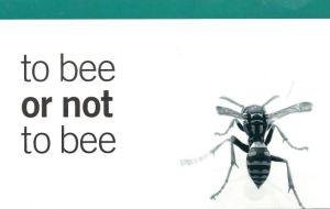 To Bee or Not To Bee